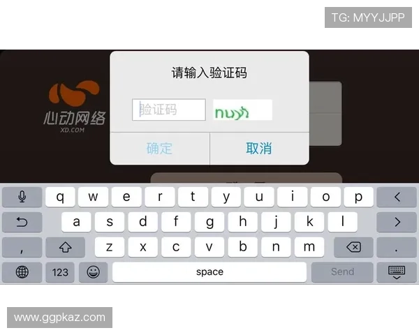 皇冠登录app登录过程中遇到验证码错误的应对措施